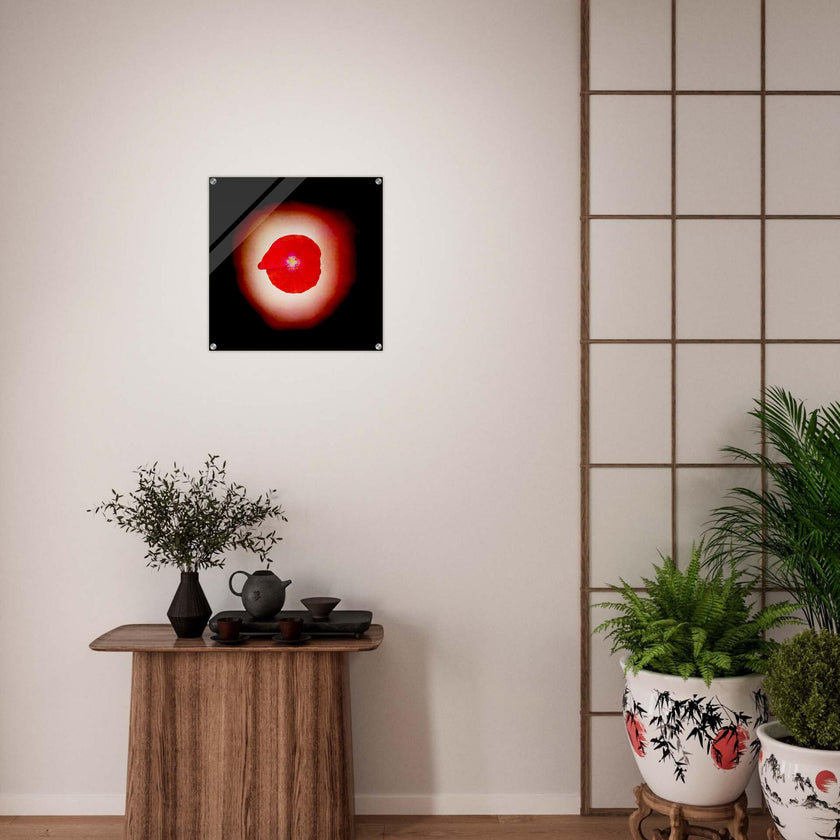 Acrylprint van een prachtige rode lichtbol met op de voorgrond een klaproos