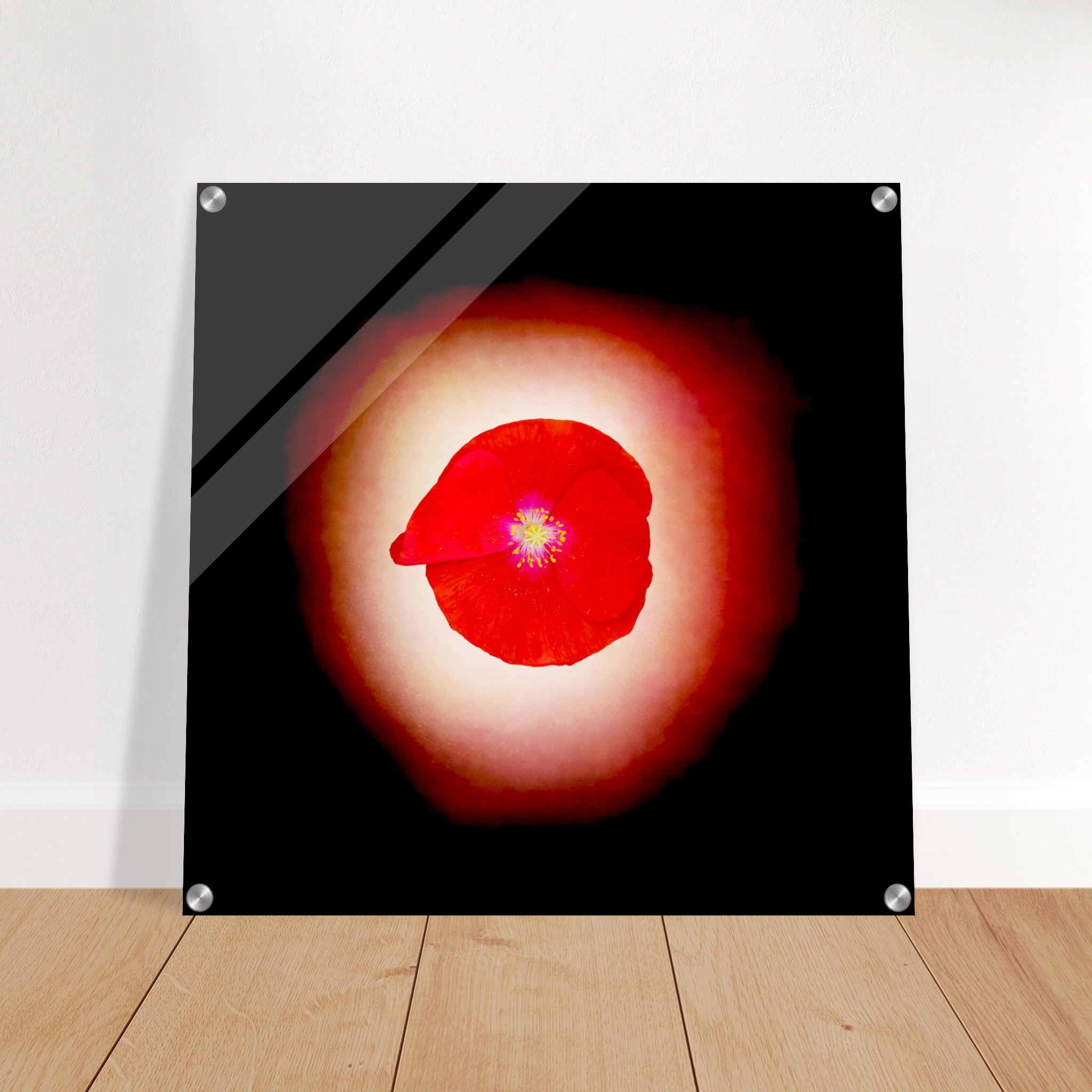 Acrylprint van een prachtige rode lichtbol met op de voorgrond een klaproos