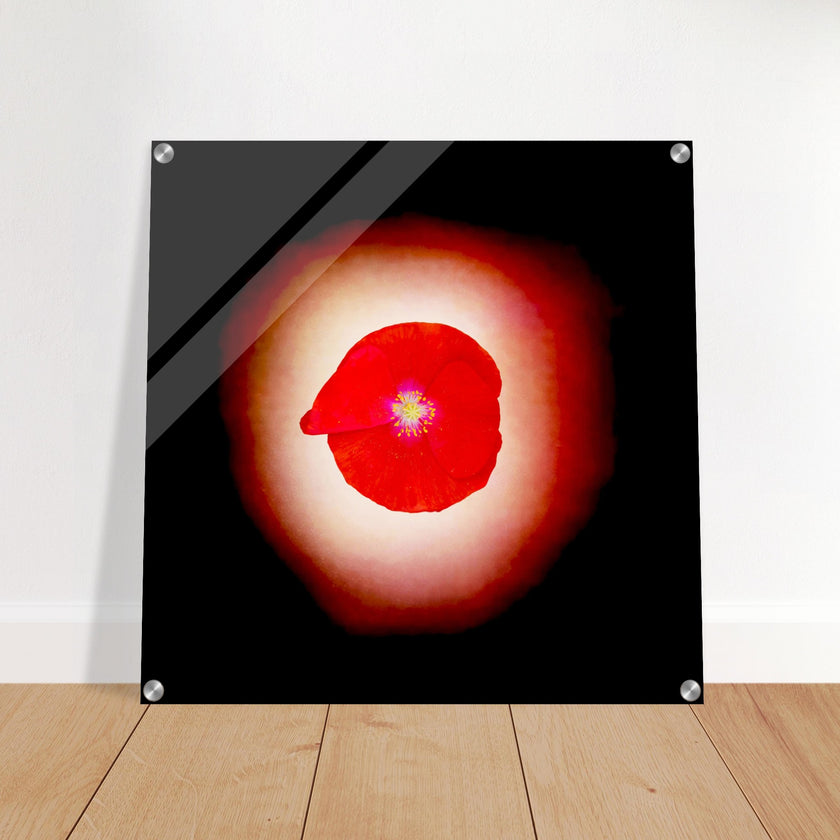 Acrylprint van een prachtige rode lichtbol met op de voorgrond een klaproos