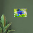 Acrylglas wanddecoratie met een blauwe iris met gele accenten