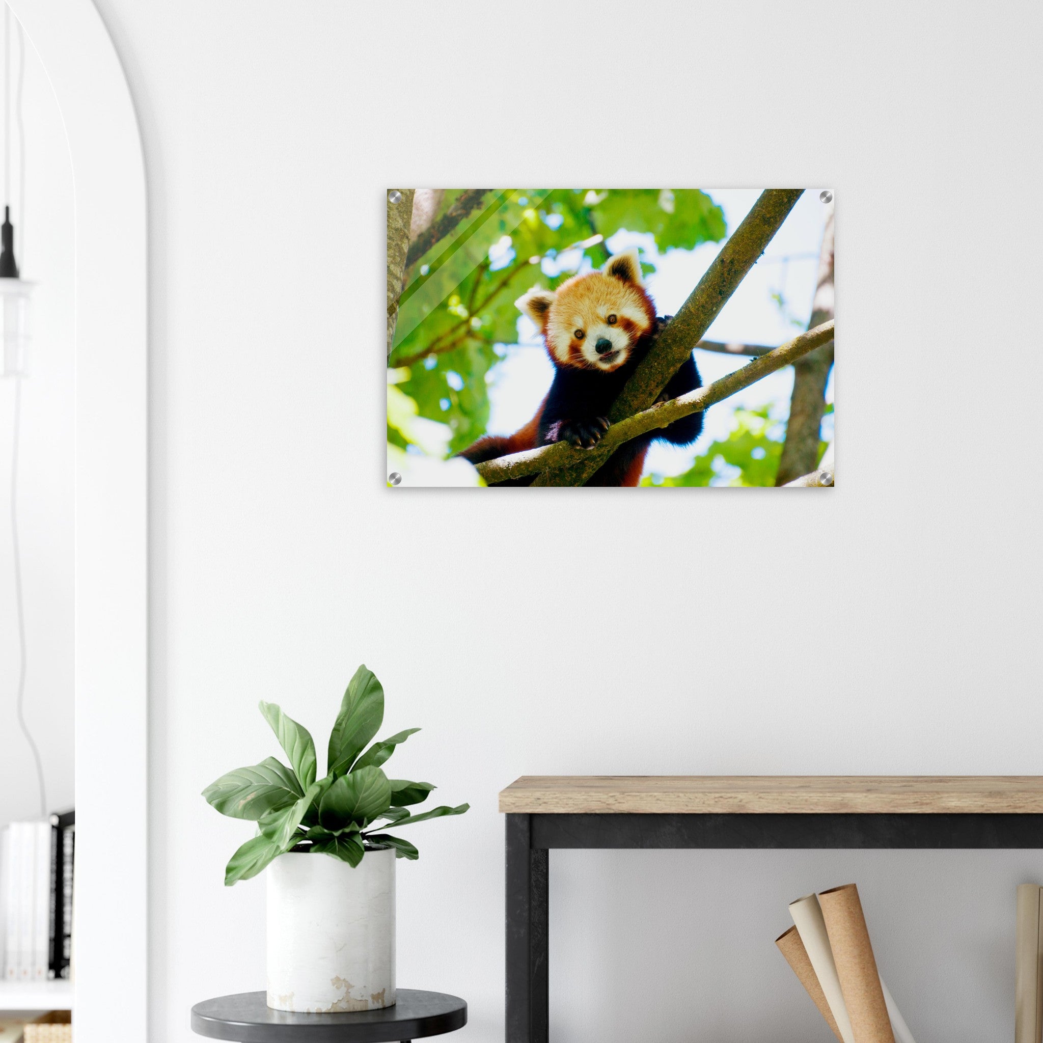 Acrylglas wanddecoratie van een rode panda tussen de groene bladeren