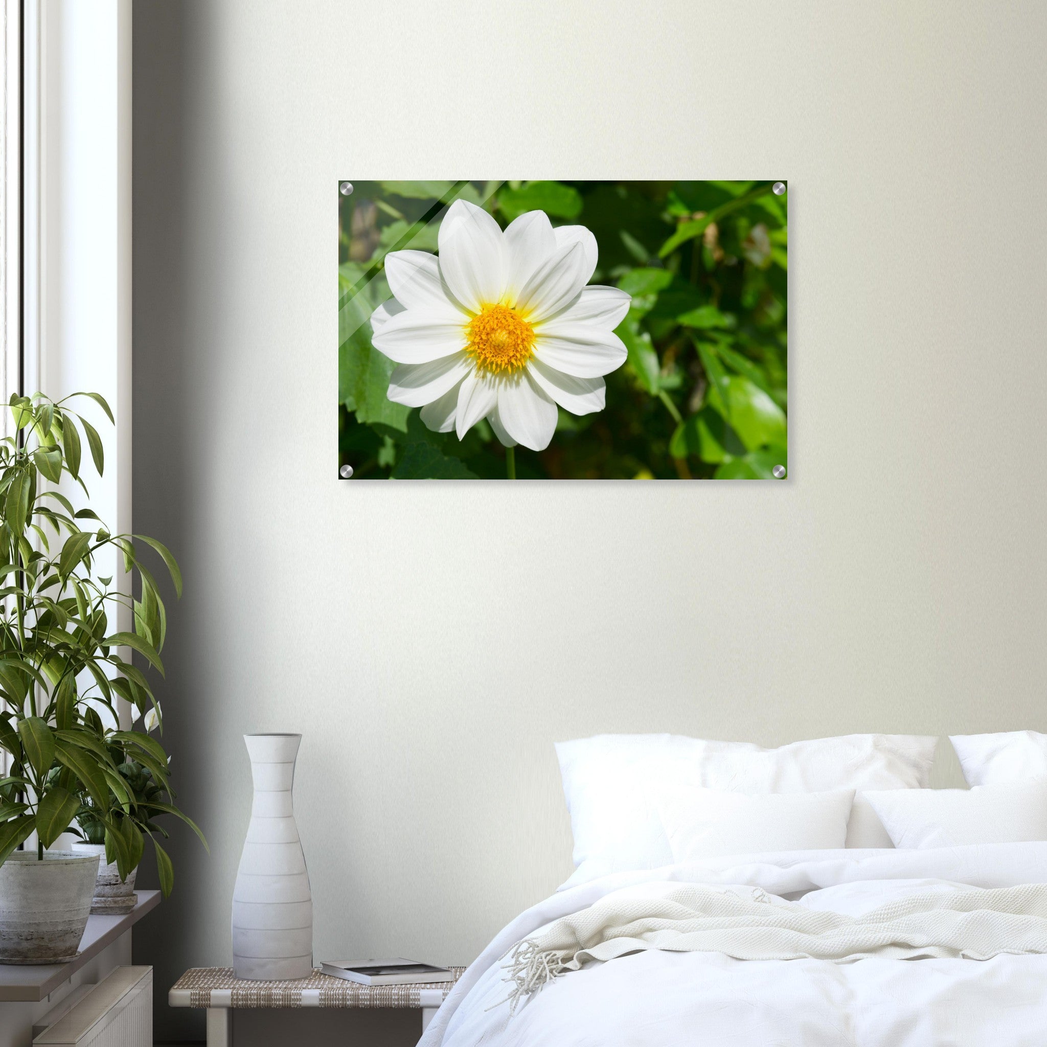 Acrylglas wanddecoratie met een prachtige witte dahlia 