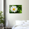Acrylglas wanddecoratie met een prachtige witte dahlia 