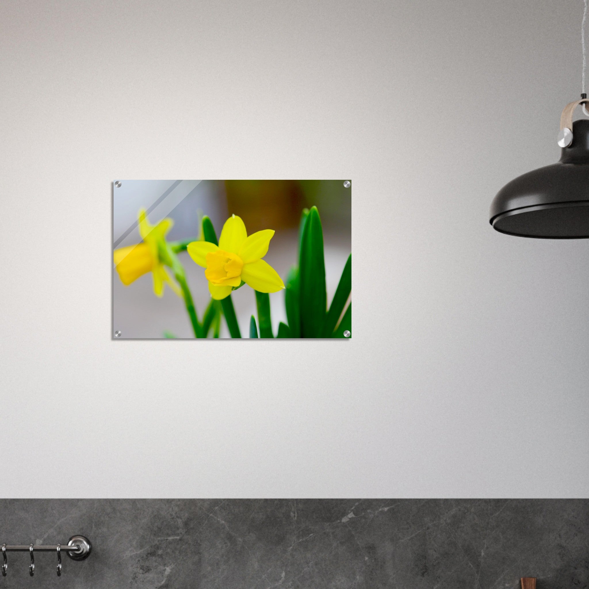 Acrylglas wanddecoratie met een stralende gele narcis