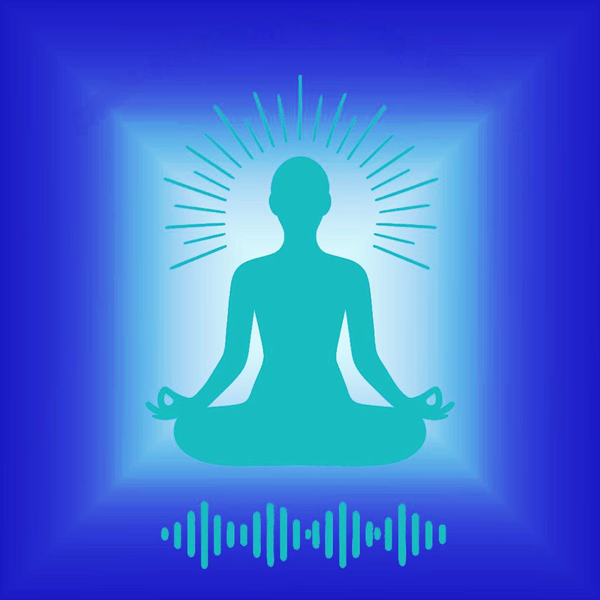 Audio opname lichttaaltransmissies Engels