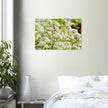 Acrylglas wanddecoratie met prachtige witte bloesems in de lente