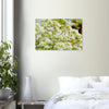 Acrylglas wanddecoratie met prachtige witte bloesems in de lente