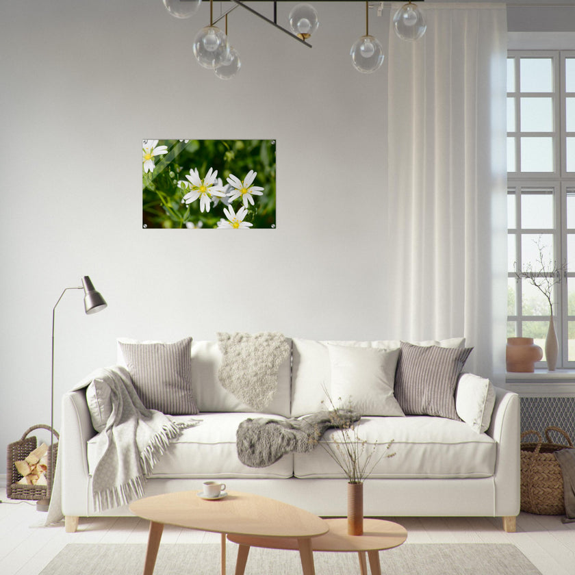 Acrylglas wanddecoratie met de bloemetjes van de 'grote muur' in de lente