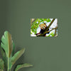 Acrylglas wanddecoratie van een rode panda tussen de groene bladeren