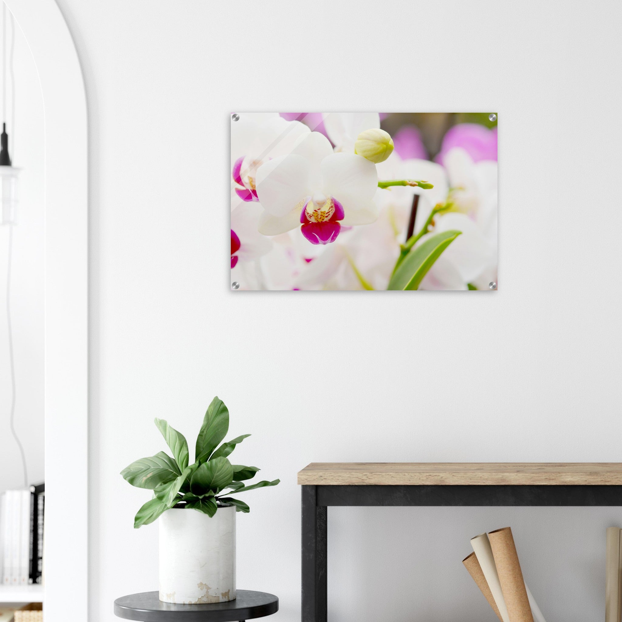 Acrylglas wanddecoratie met een stralende witte orchidee