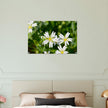 Acrylglas wanddecoratie met de bloemetjes van de 'grote muur' in de lente