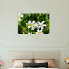 Acrylglas wanddecoratie met de bloemetjes van de 'grote muur' in de lente