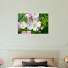 Acrylglas wanddecoratie met de prachtige zachtroze bloemen van de hondsroos