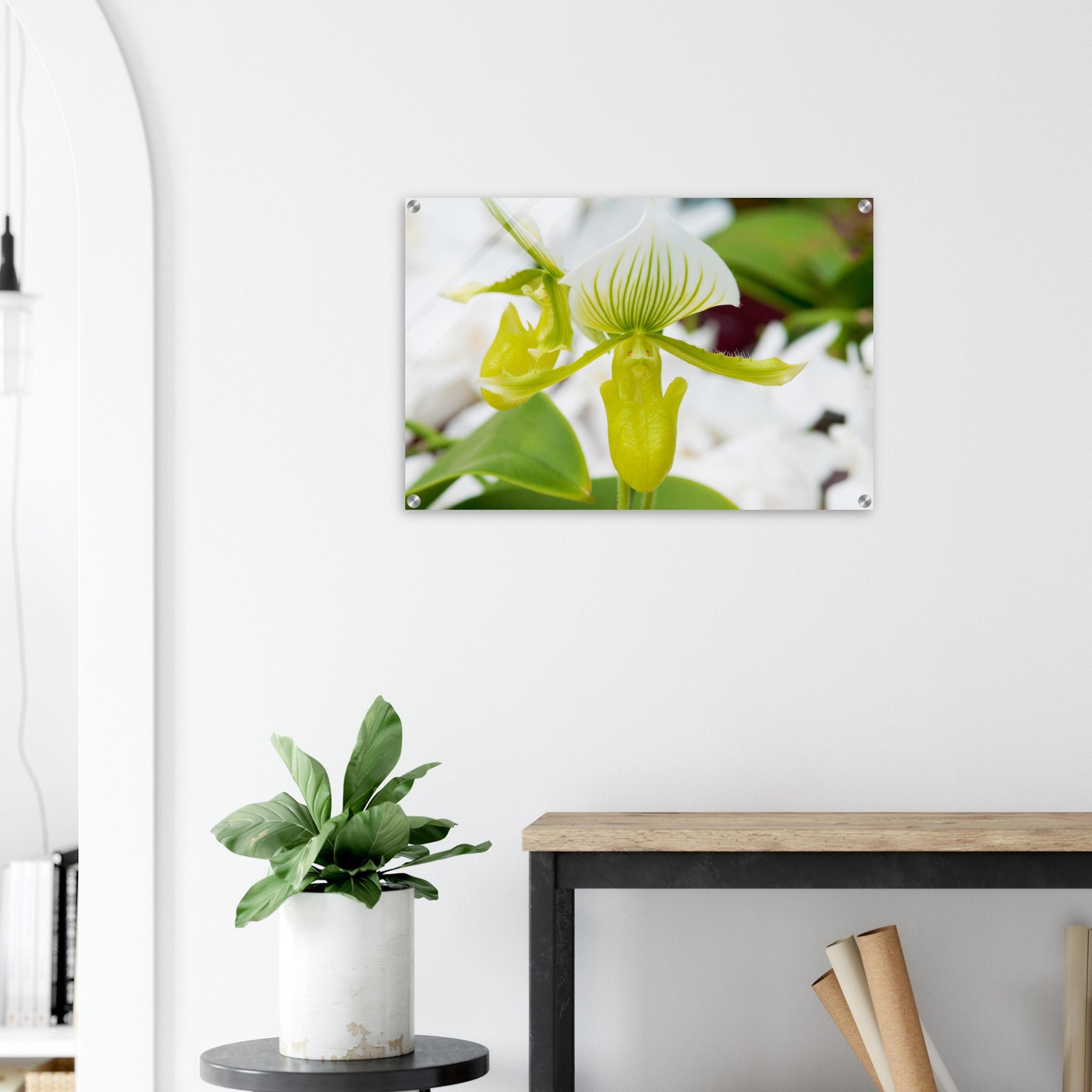 Acrylglas wanddecoratie met een orchidee in wit met groen