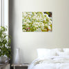 Acrylglas wanddecoratie met prachtige witte spirea lentebloesems 