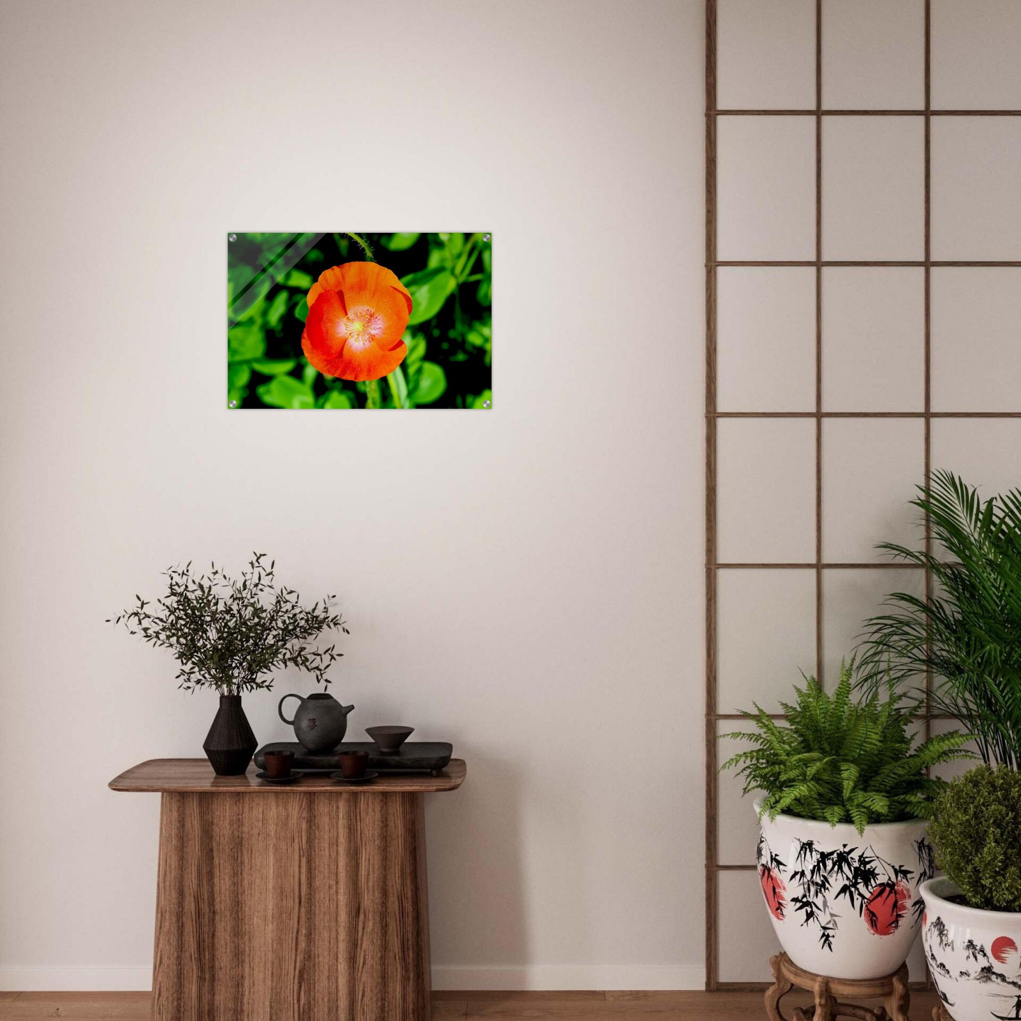 Acrylglas wanddecoratie met een prachtige felrode klaproos 