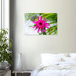 Acrylglas wanddecoratie met een prachtige roze echinacea bloem