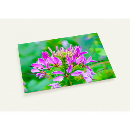 Wenskaart met schitterende violetkleurige bloem tegen groene achtergrond