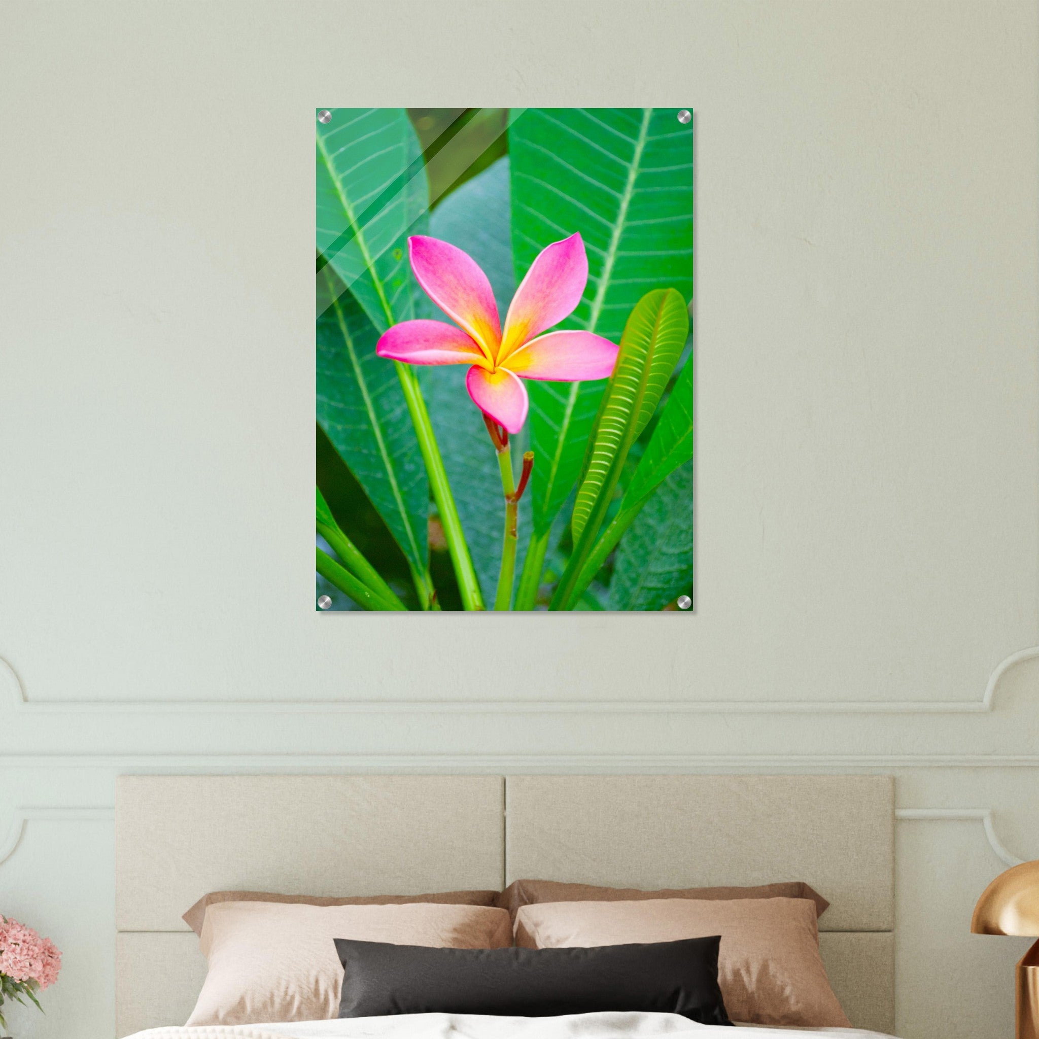 Acrylglas wanddecoratie met een prachtige roze frangipani bloem 