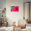 Acrylglas wanddecoratie met een prachtige magentarode hibiscus 