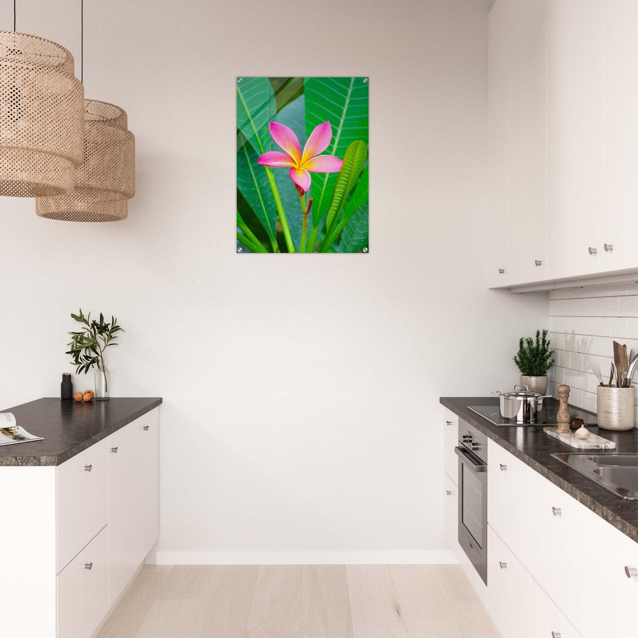 Acrylglas wanddecoratie met een prachtige roze frangipani bloem 