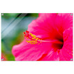 Acrylglas wanddecoratie met een prachtige magentarode hibiscus 