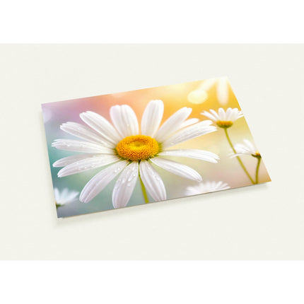 Wenskaart met schitterende foto van een margriet tegenzachte pastelachtergrond