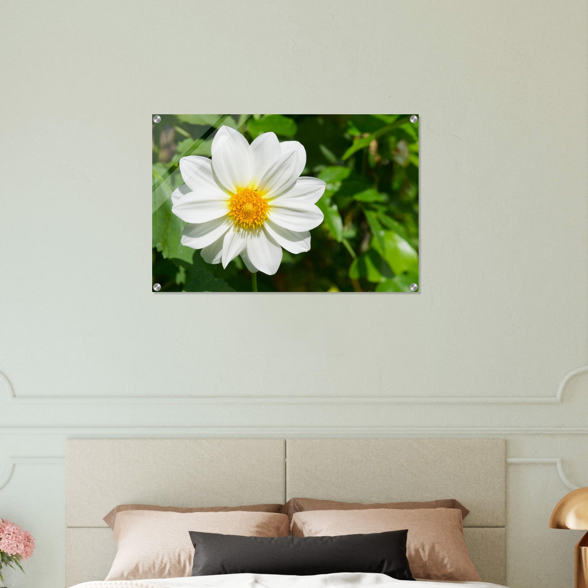 Acrylglas wanddecoratie met een prachtige witte dahlia 