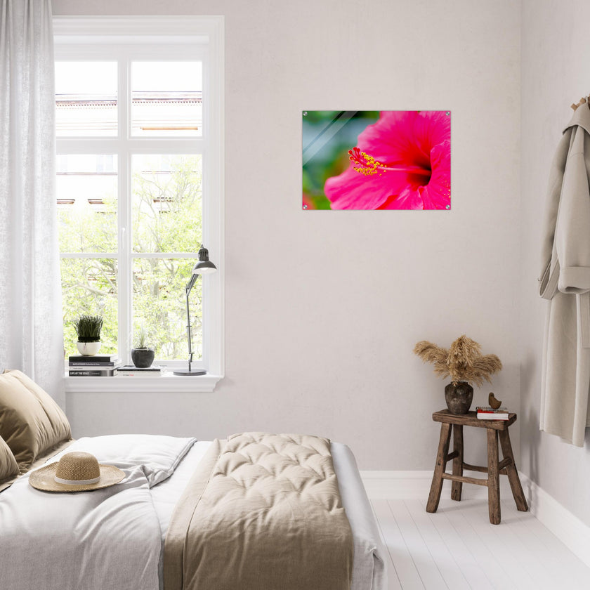 Acrylglas wanddecoratie met een prachtige magentarode hibiscus 